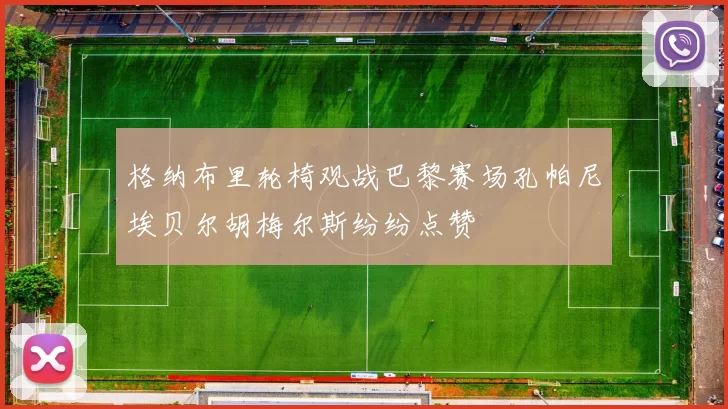 格纳布里轮椅观战巴黎赛场孔帕尼埃贝尔胡梅尔斯纷纷点赞